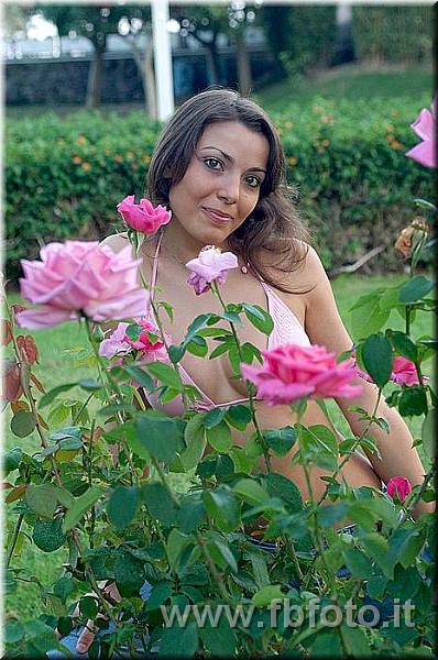 DSC_6478.JPG