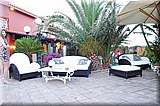 DSC_2120.jpg