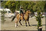 DSC_0336.JPG