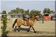 DSC_0337.JPG