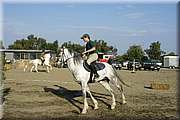 DSC_0363.JPG