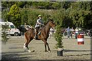 DSC_0387.JPG