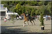 DSC_0392.JPG