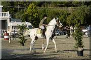 DSC_0395.JPG