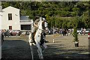 DSC_0397.JPG