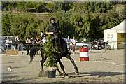 DSC_0404.JPG