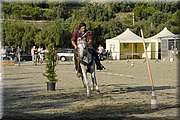 DSC_0420.JPG