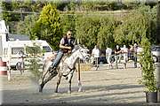 DSC_0444.JPG