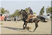 DSC_0462.JPG