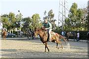 DSC_0543.JPG