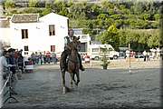 DSC_0572.JPG
