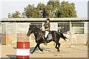 DSC_0635.JPG
