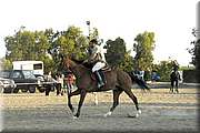 DSC_0641.JPG