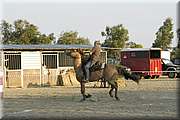 DSC_0661.JPG
