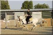 DSC_0675.JPG