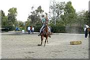 DSC_0753.JPG