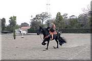 DSC_0824.JPG