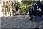 DSC_6598.JPG