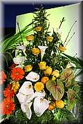 IMG_3480.JPG