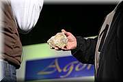 IMG_3621.JPG