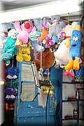 IMG_9429.JPG