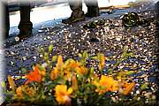 IMG_9798.JPG