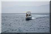 IMG_0793.JPG