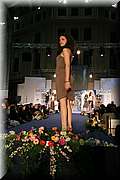 IMG_5872.jpg