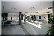 IMG_9815.JPG