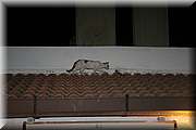 IMG_09965.jpg