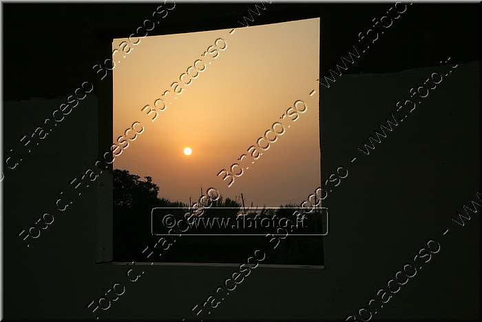 _MG_3521.jpg