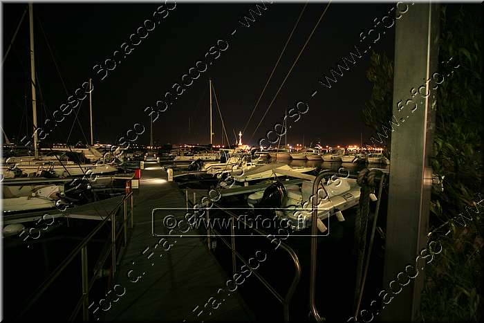 IMG_4848.jpg