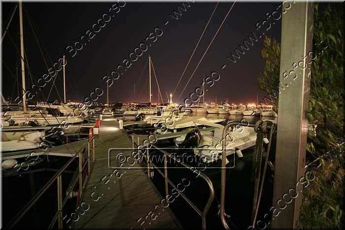 IMG_4849.jpg
