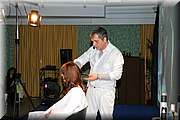 _MG_0787.jpg