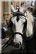 IMG_2480.JPG