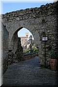 IMG_2943.jpg