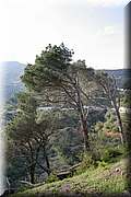 IMG_2948.jpg