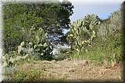 IMG_2949.jpg