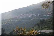 IMG_2950.jpg