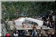 IMG_2965.jpg