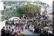 IMG_2977.jpg