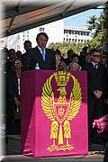 IMG_5325.jpg