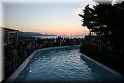 IMG_7460.jpg