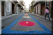IMG_6789.jpg