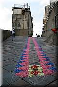 IMG_6803.jpg