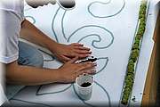 IMG_6808.jpg