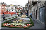 IMG_6812.jpg