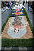 IMG_6821.jpg