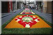 IMG_6823.jpg