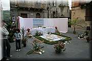 IMG_6846.jpg
